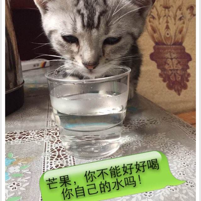 怎么做假明德学院文凭毕业证
